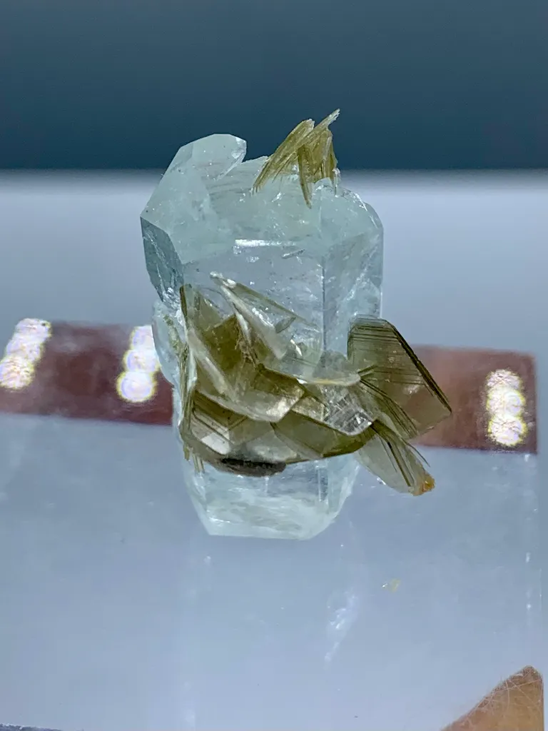 Natural Aquamarine Crystal with Golden Muscovite Mica Specimen | Pakistan Beryl Collector Piece Gilgit-Baltistan, Nagar District, Nagar - image 5