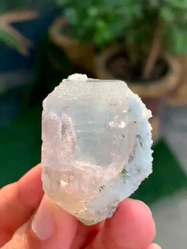 specimen video