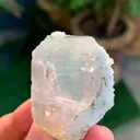 specimen video