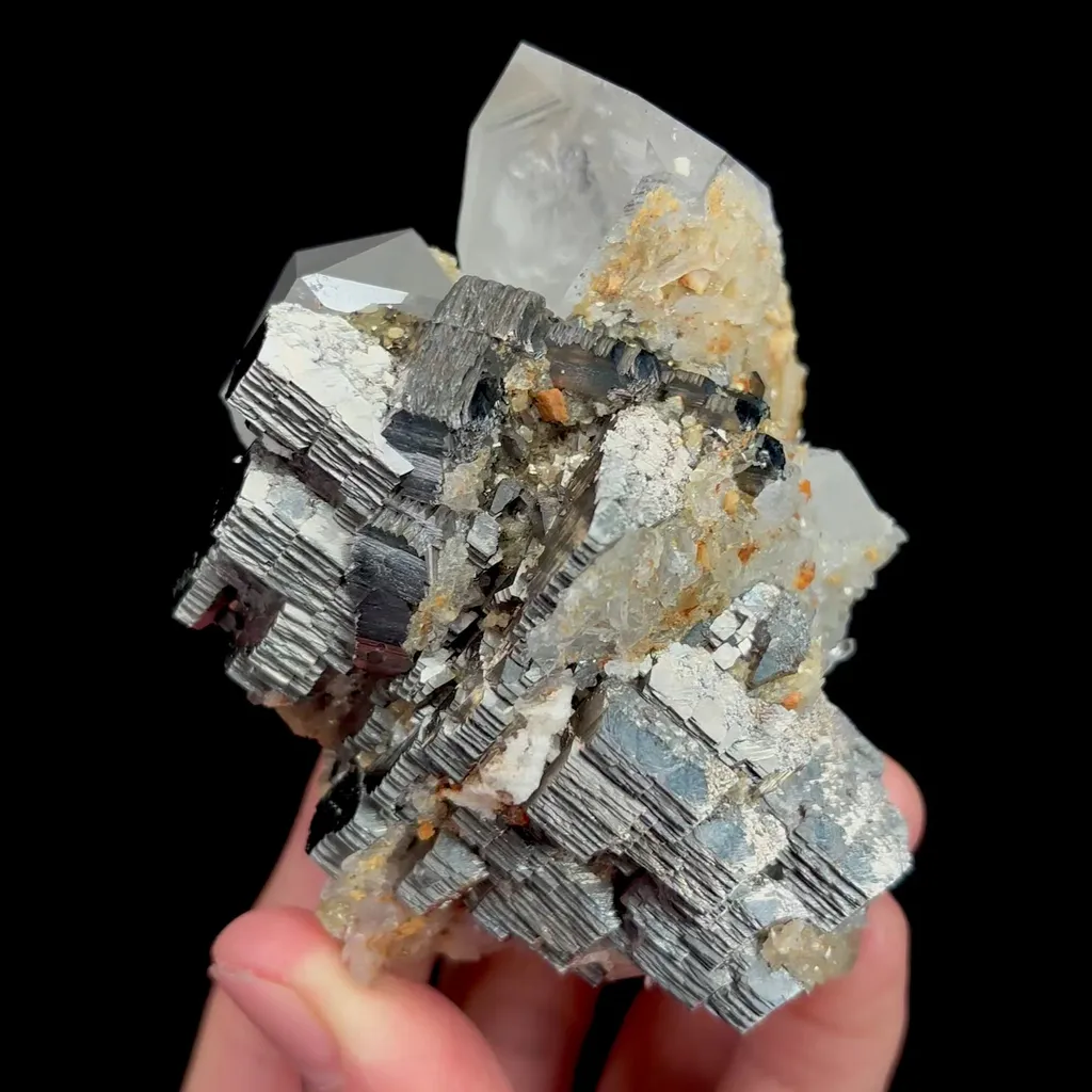 specimen video