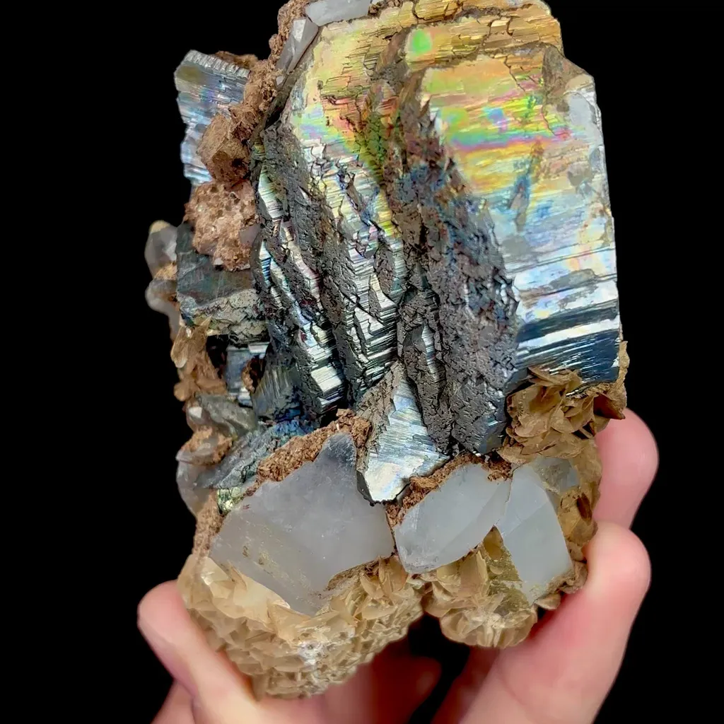 specimen video