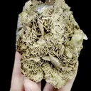 Natural Arsenopyrite and Quartz Mineral Specimen,High Quality Specimen,YAO GANG XIAN,HUNAN,CHINA(95*70*50mm) - image 3