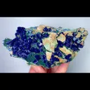 specimen video