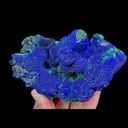 specimen video