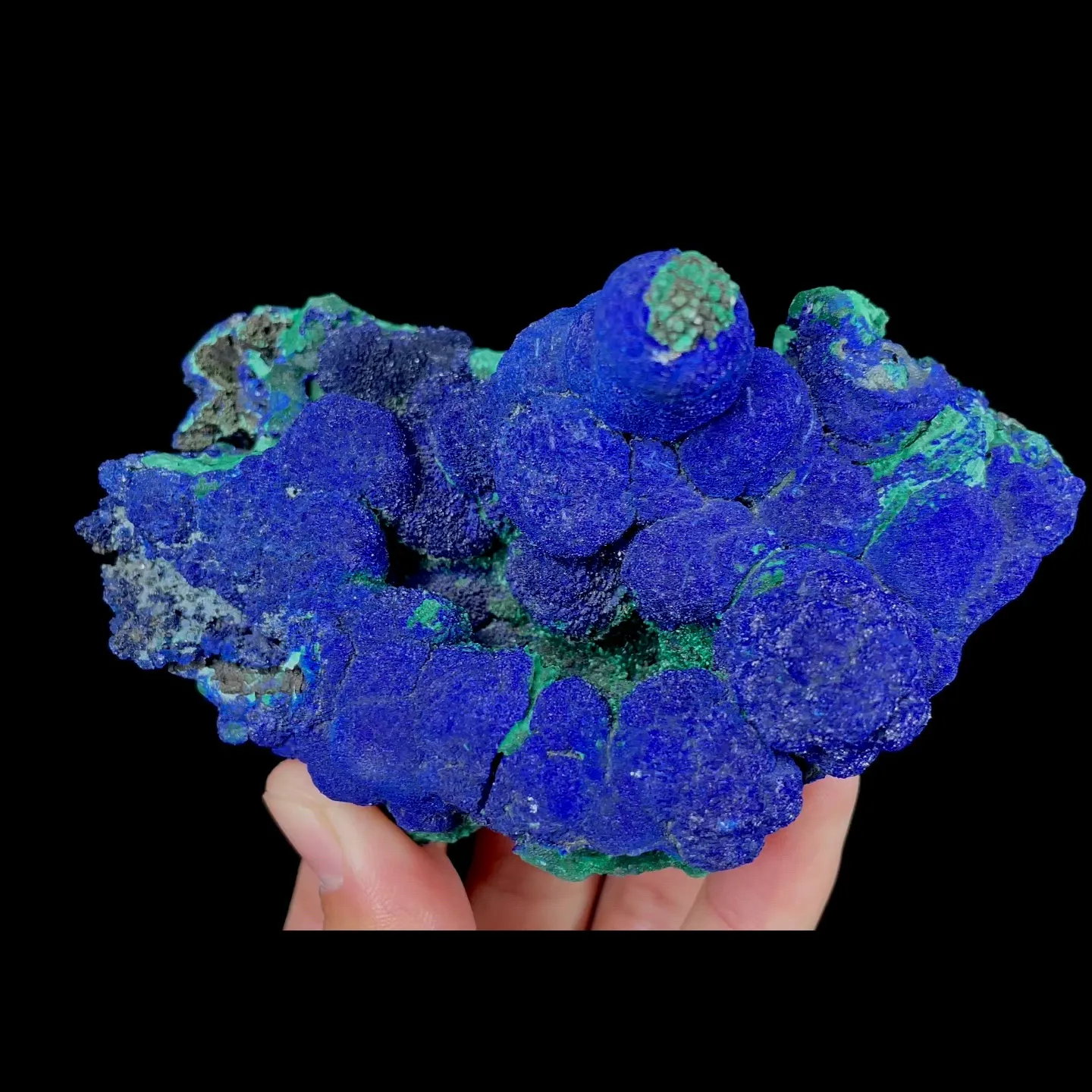 specimen video