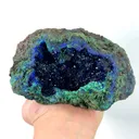 specimen video