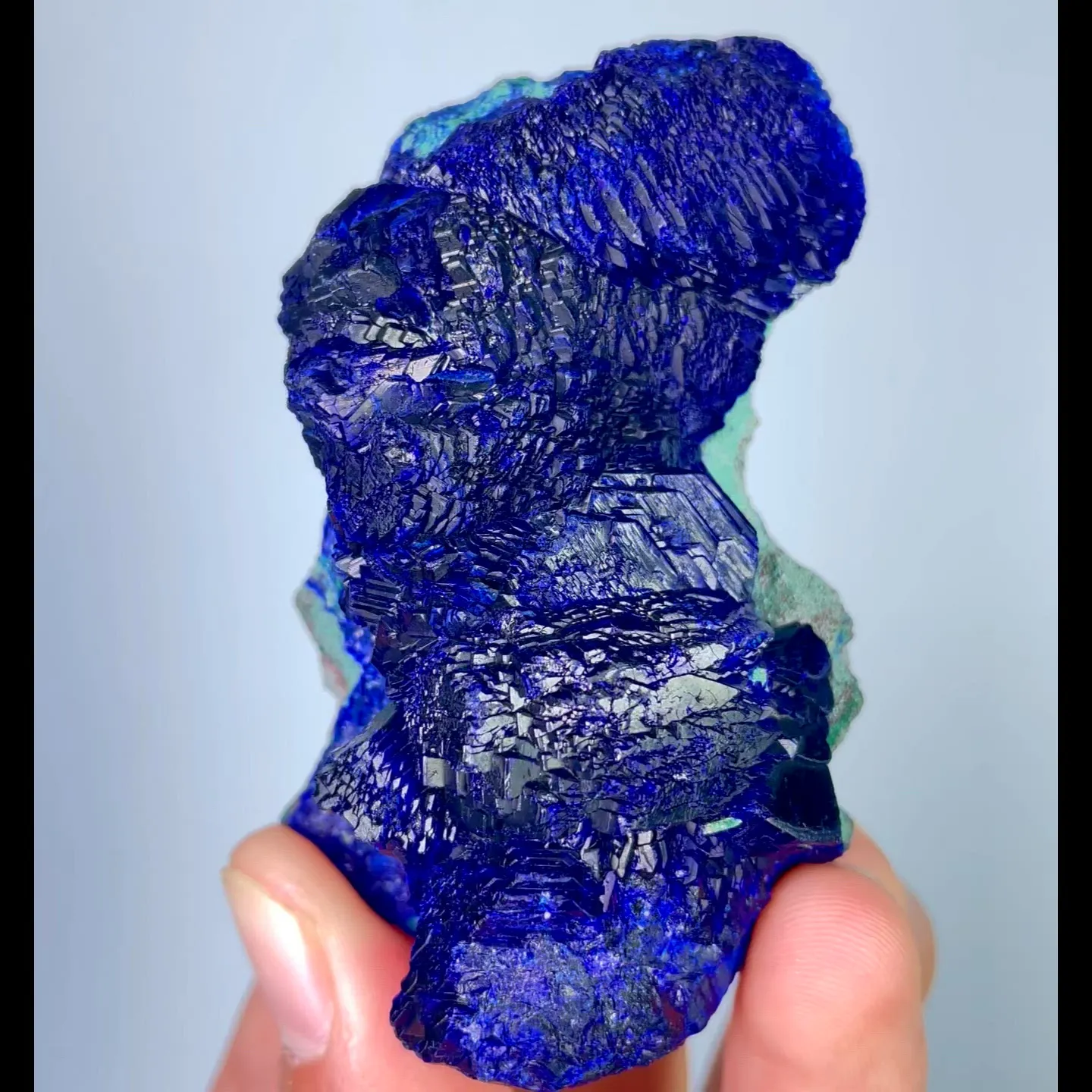 specimen video