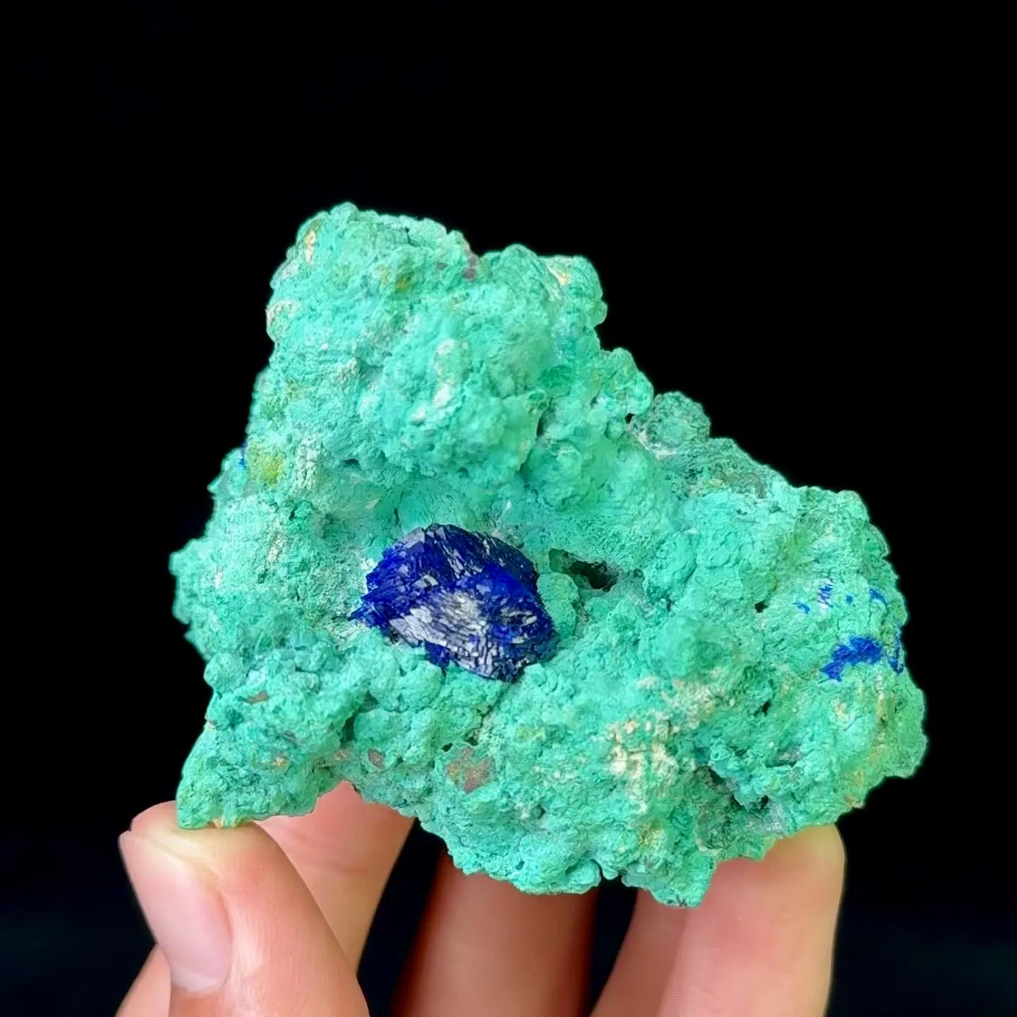 specimen video