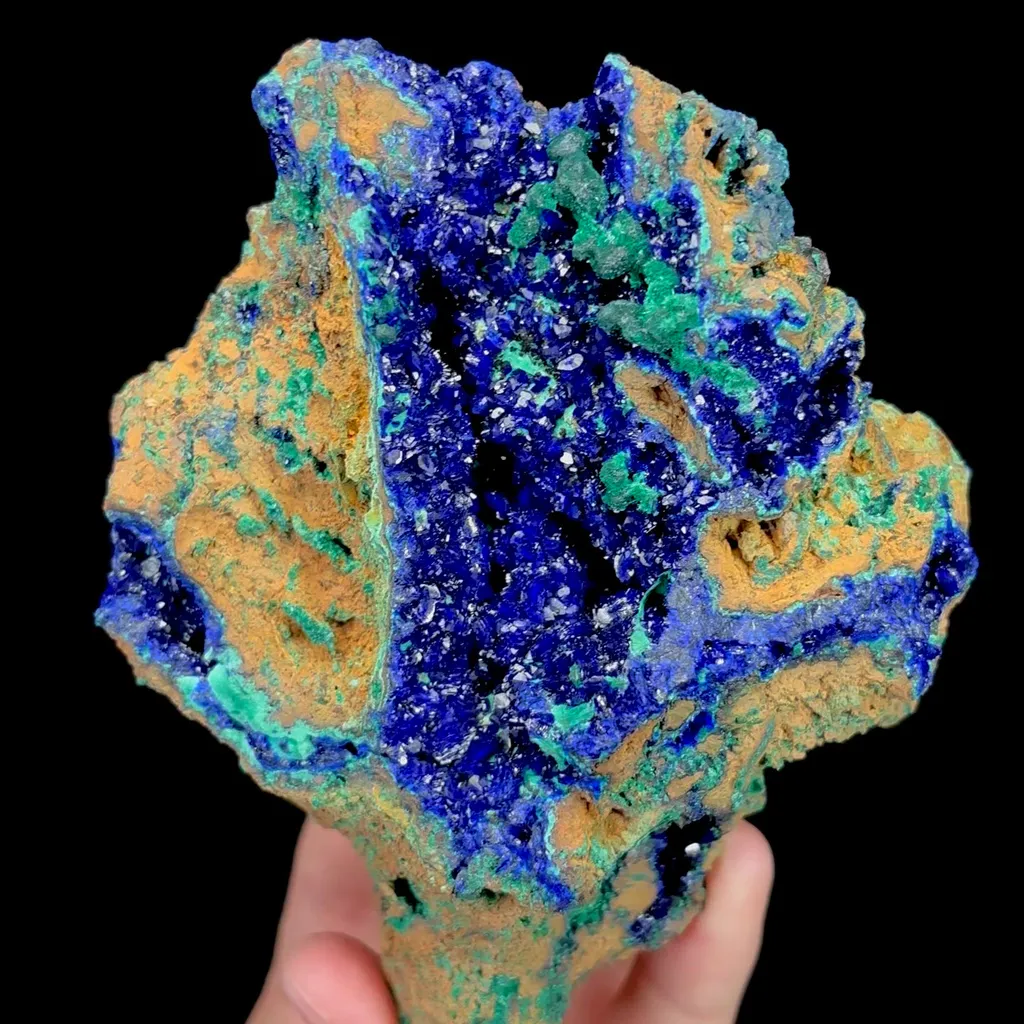 specimen video