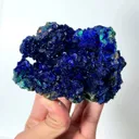 specimen video