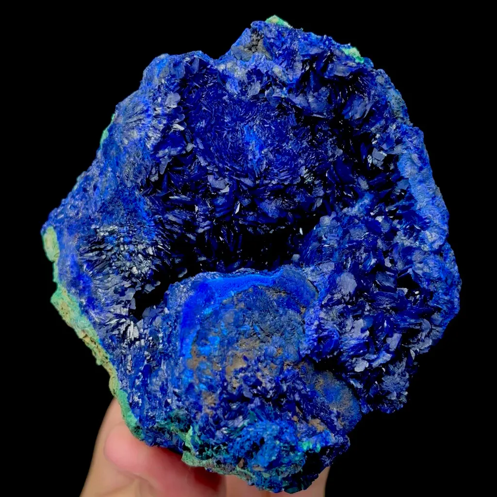specimen video