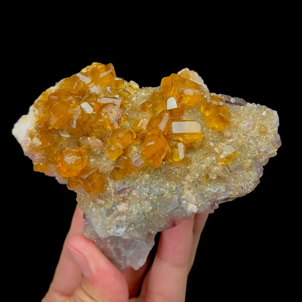 specimen video
