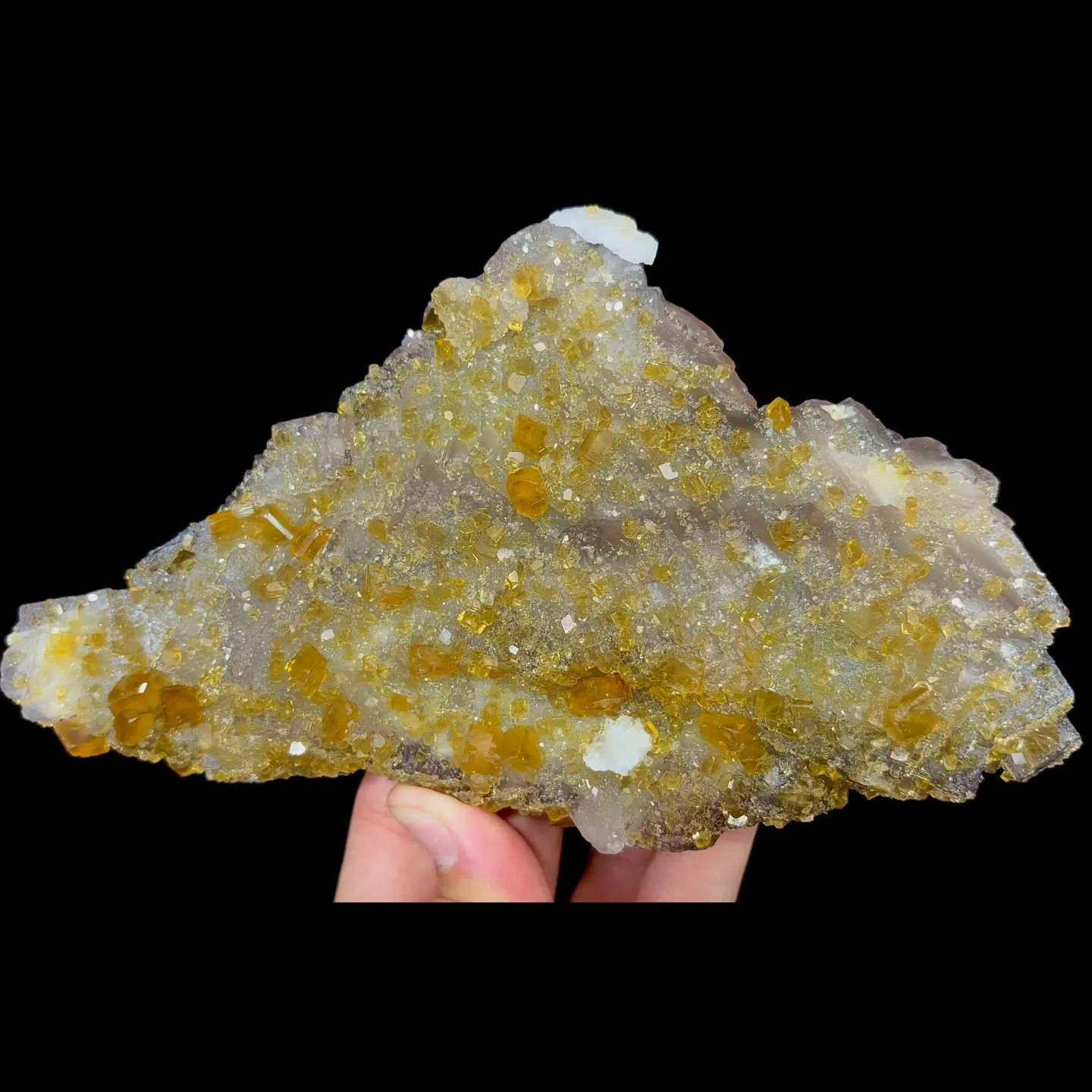 specimen video
