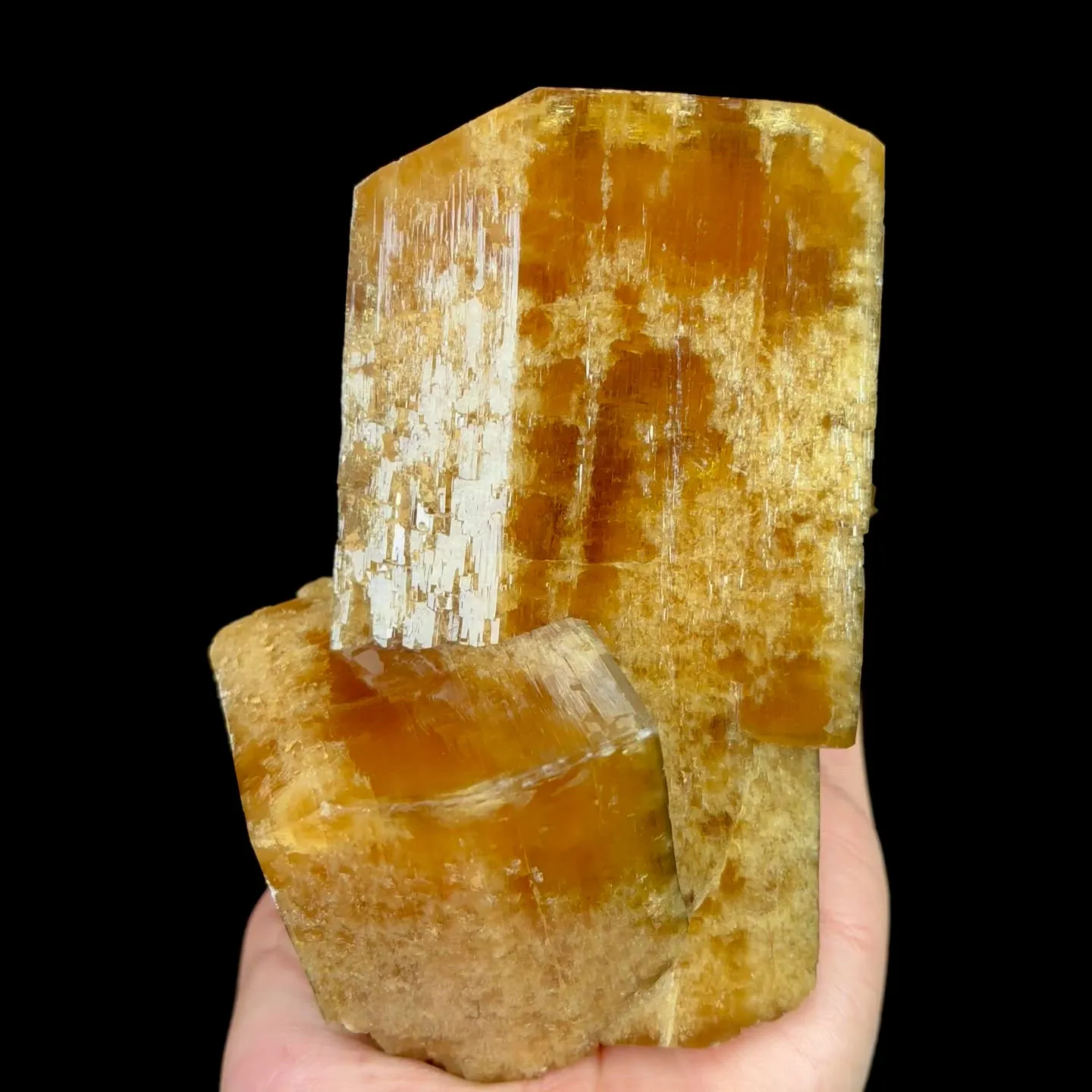 specimen video