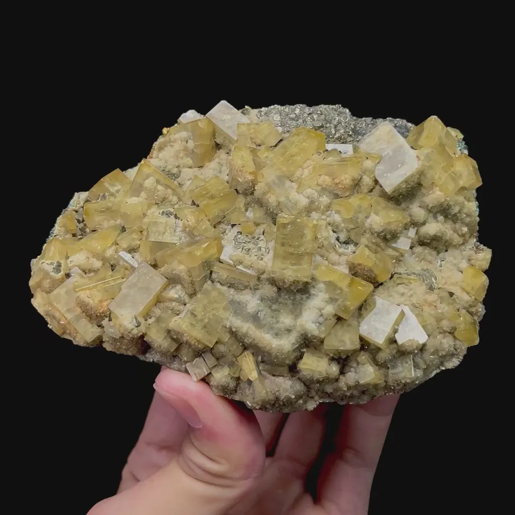 specimen video