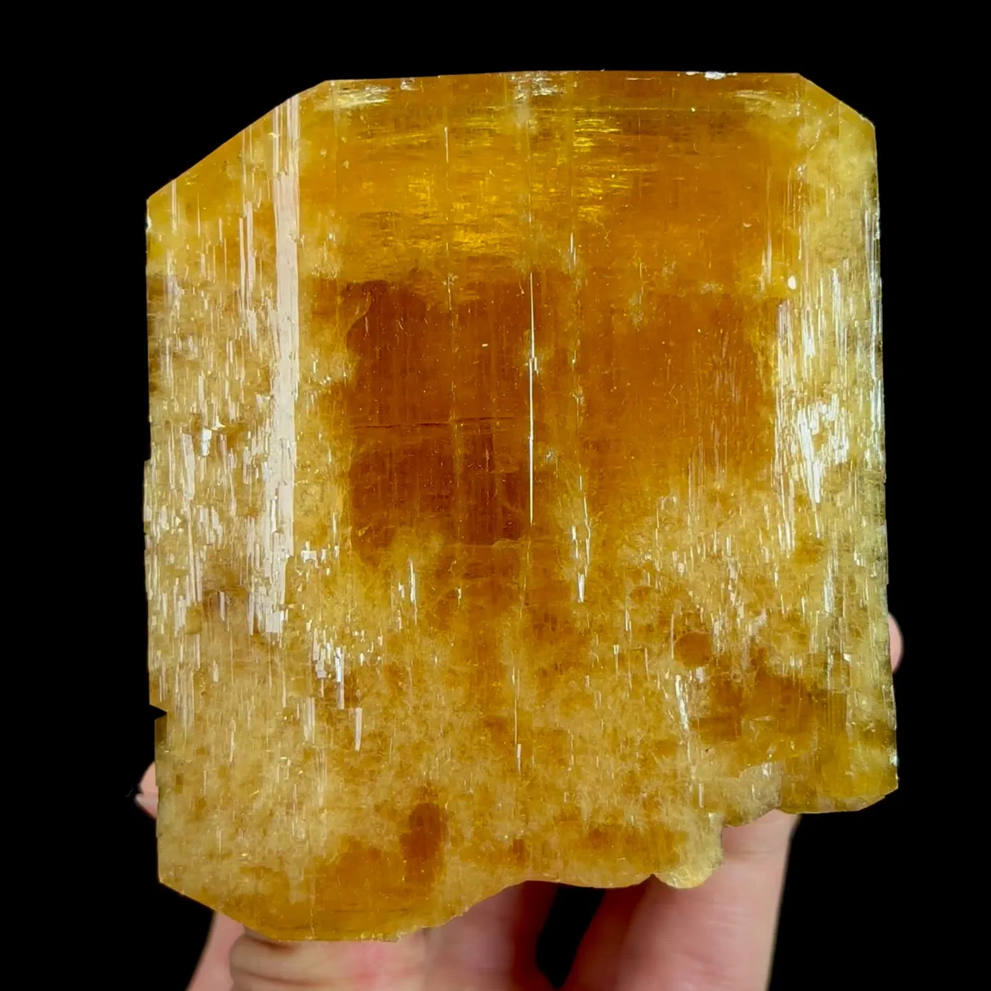 specimen video