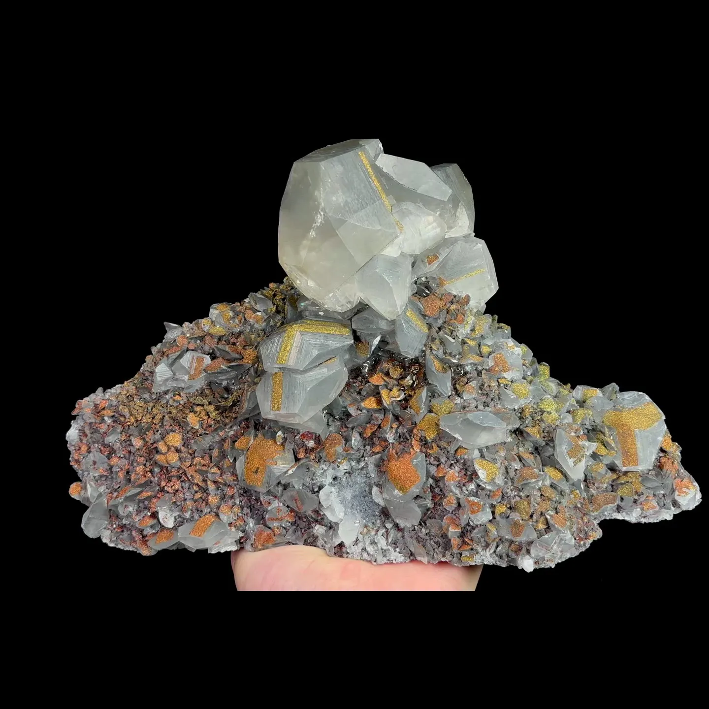 specimen video