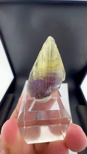 specimen video