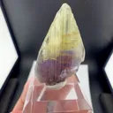 specimen video