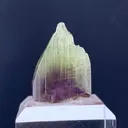 specimen video