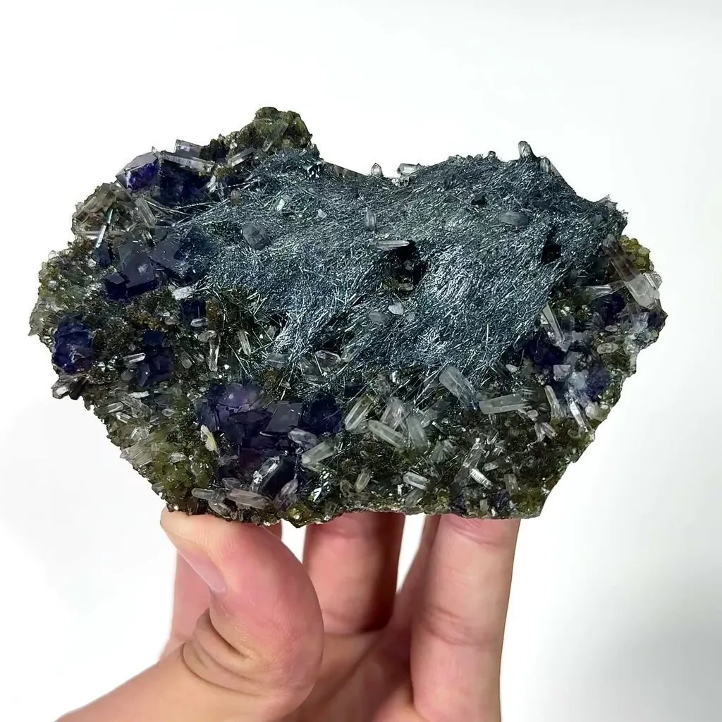 specimen video