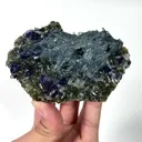 specimen video