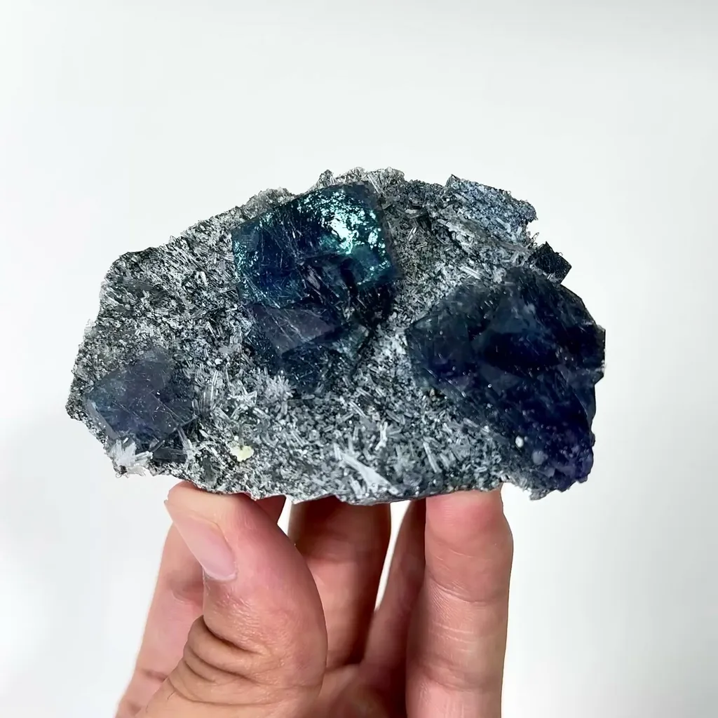 specimen video