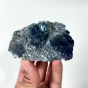 specimen video