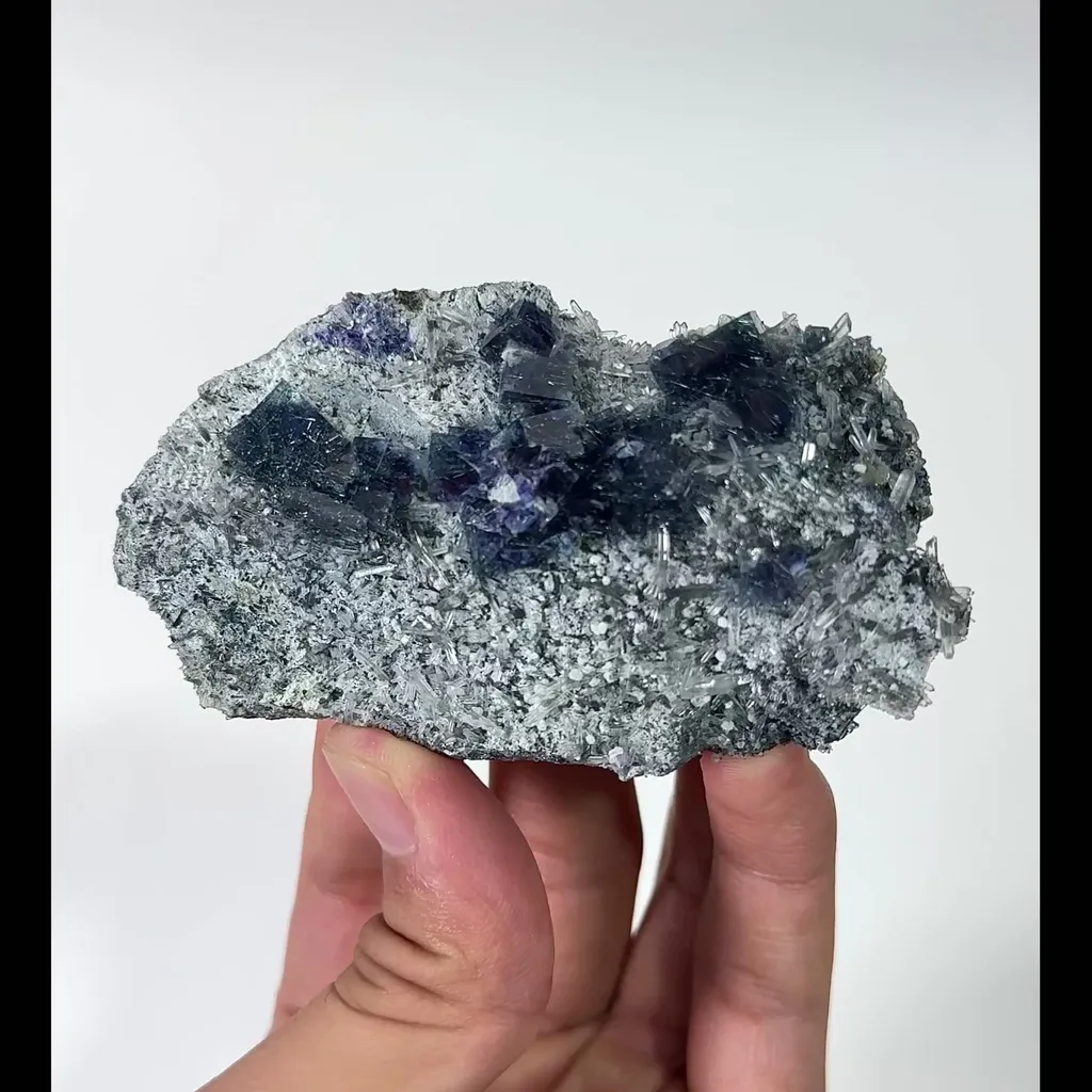 specimen video