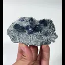specimen video