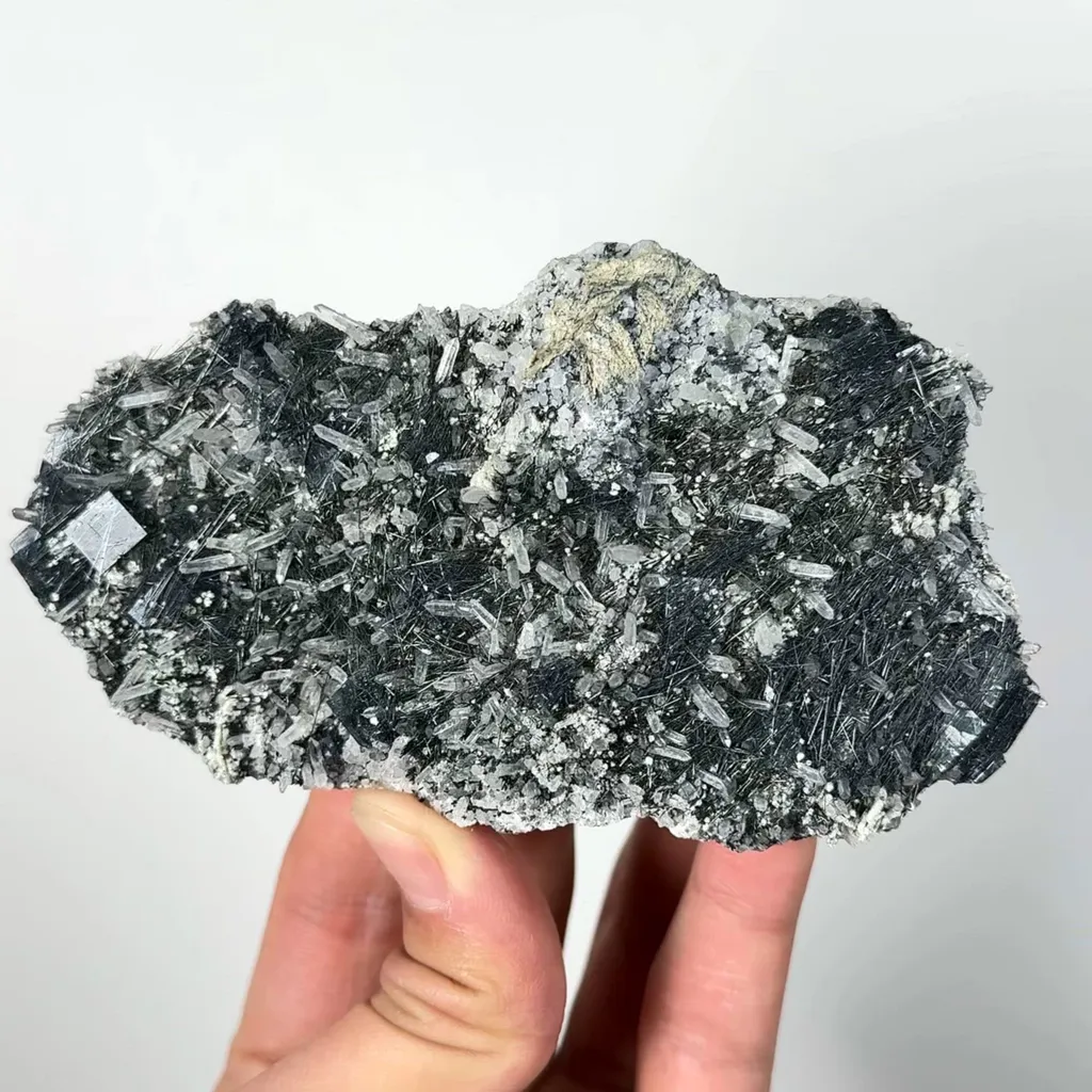 specimen video