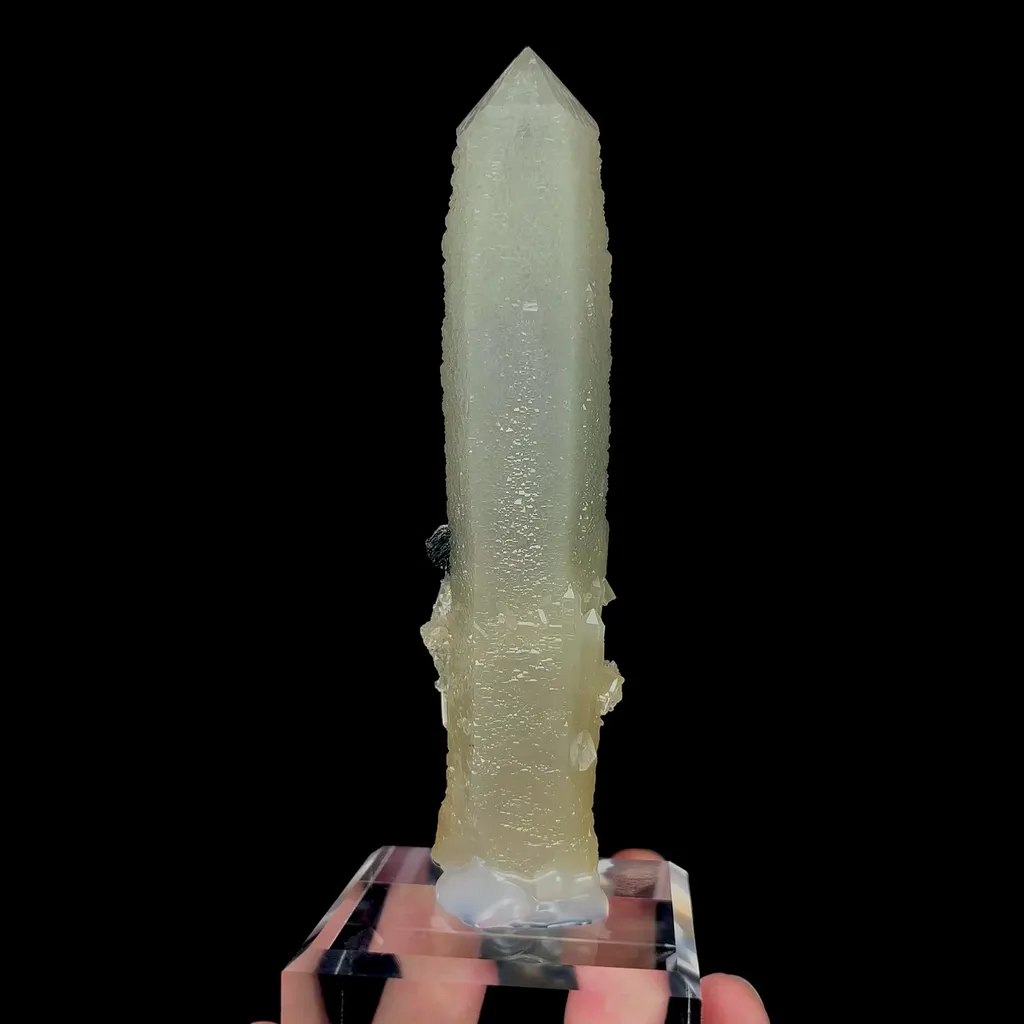 specimen video