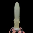 specimen video