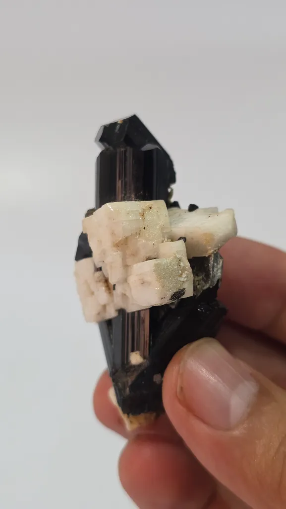 Natural Black Tourmaline Crystal Cluster with Feldspar & Mica | 47g Schorl Specimen - image 4