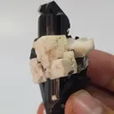 Natural Black Tourmaline Crystal Cluster with Feldspar & Mica | 47g Schorl Specimen - image 4