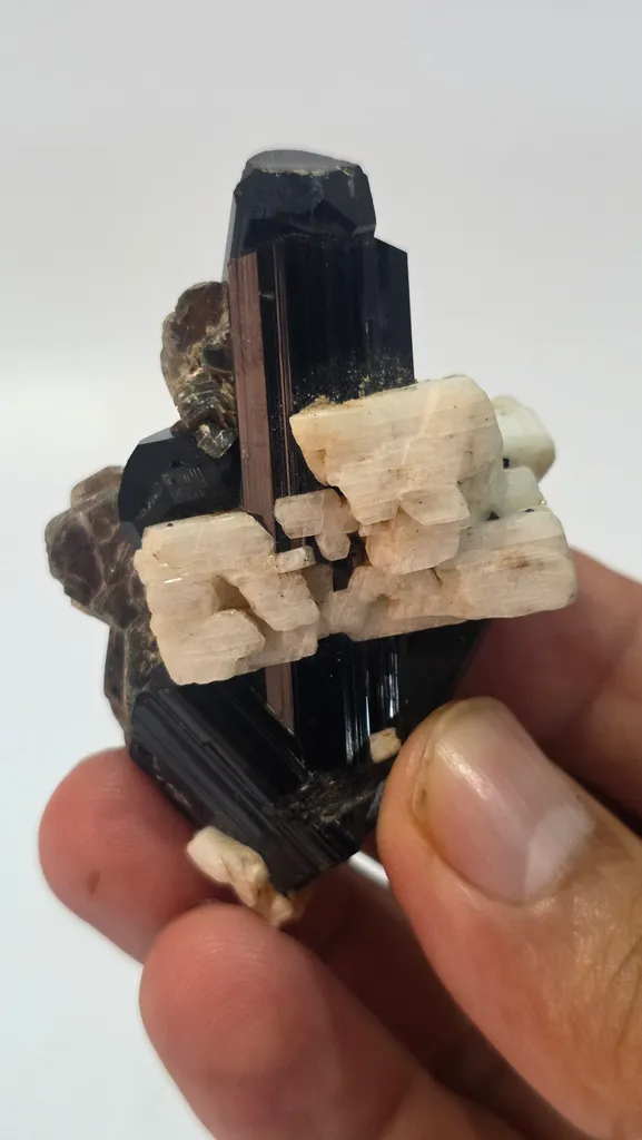 Natural Black Tourmaline Crystal Cluster with Feldspar & Mica | 47g Schorl Specimen image