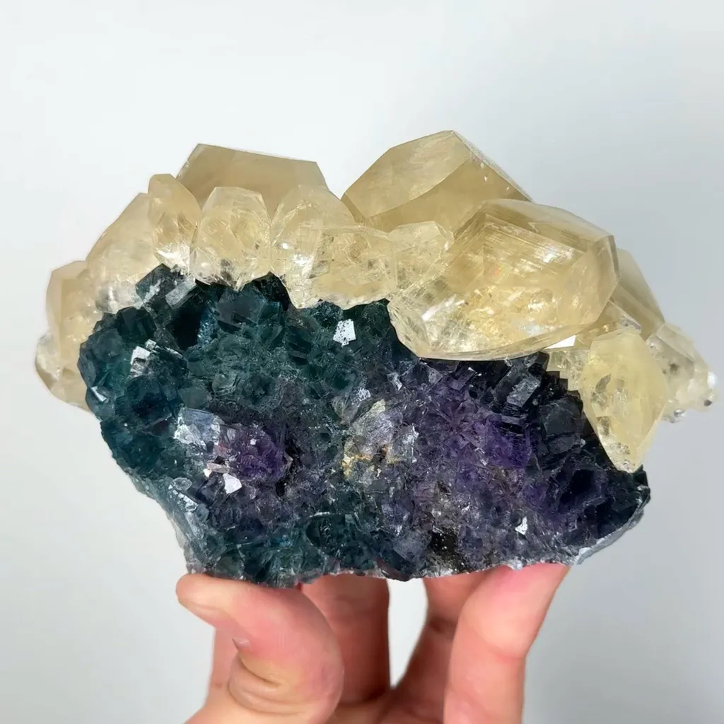 specimen video