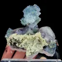 specimen video