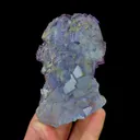 specimen video