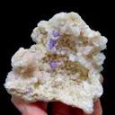 specimen video