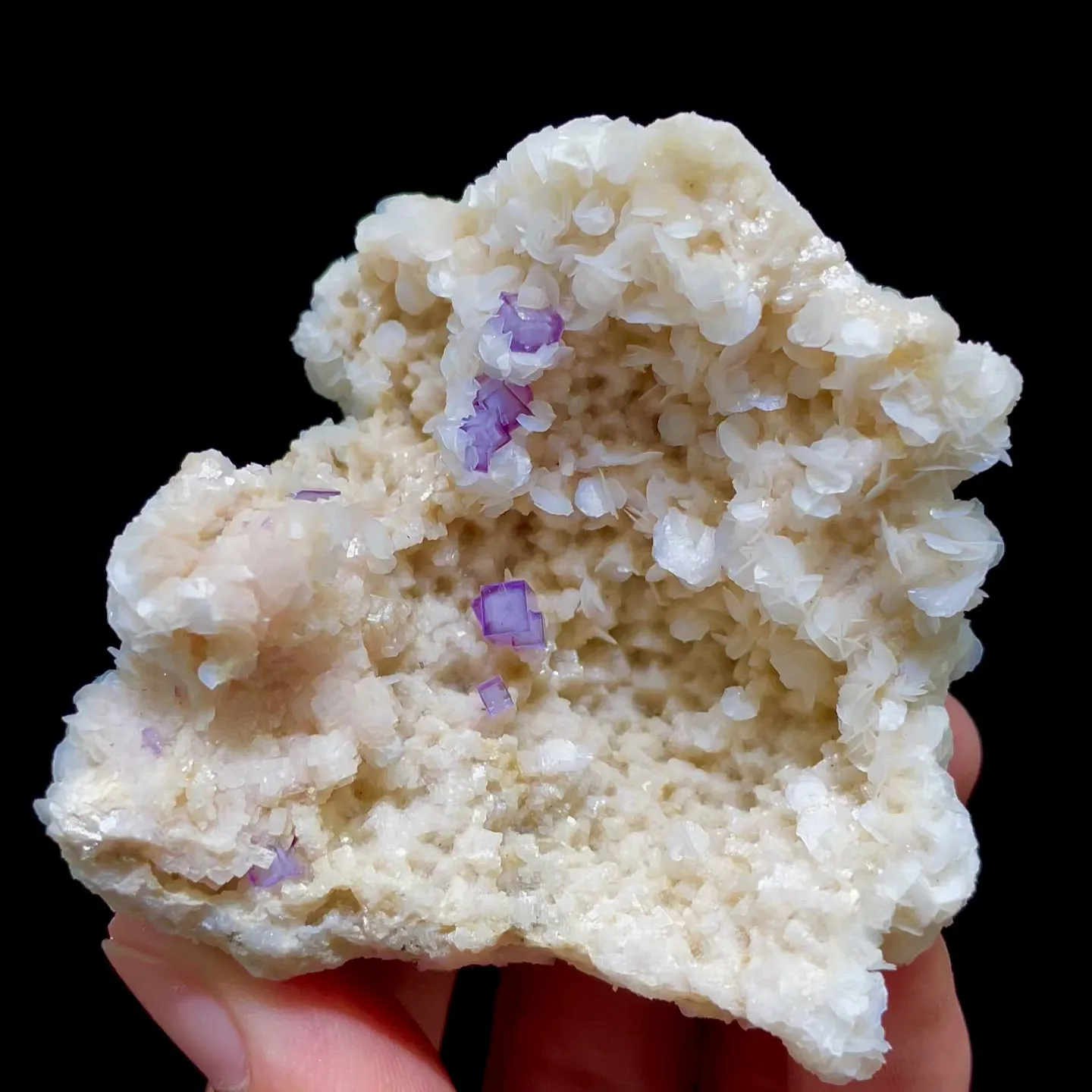 specimen video