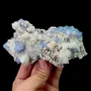 specimen video