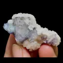 specimen video