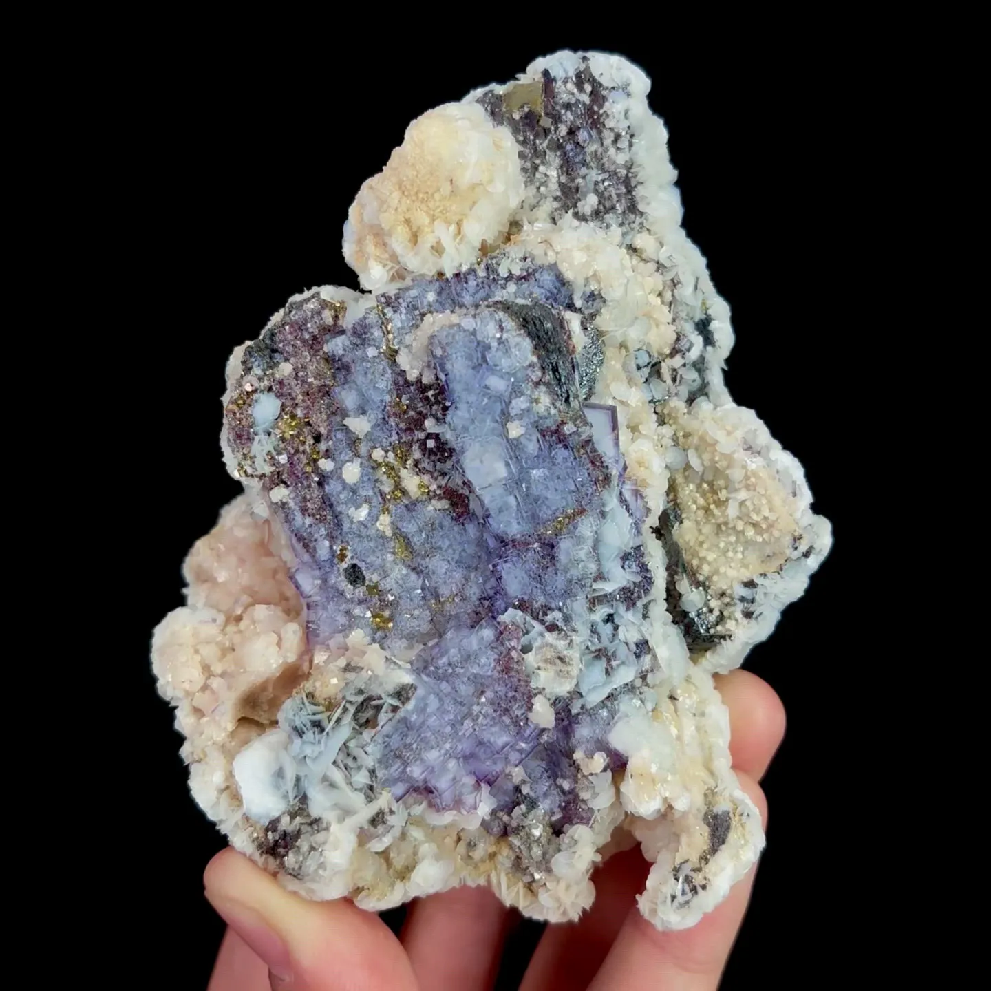 specimen video