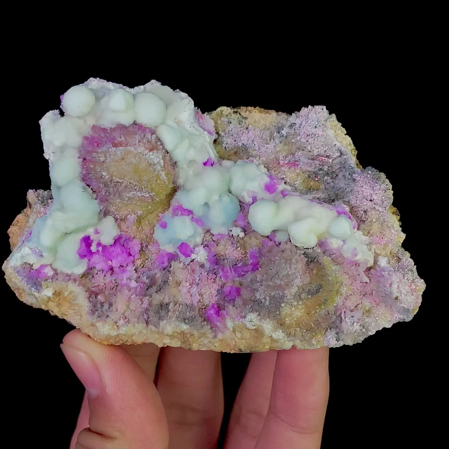 specimen video