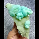 specimen video