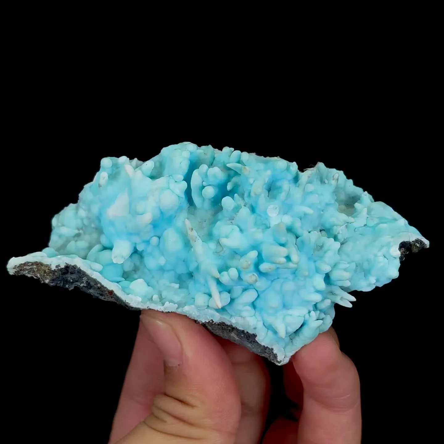 specimen video