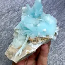 specimen video