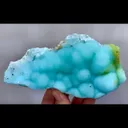 specimen video