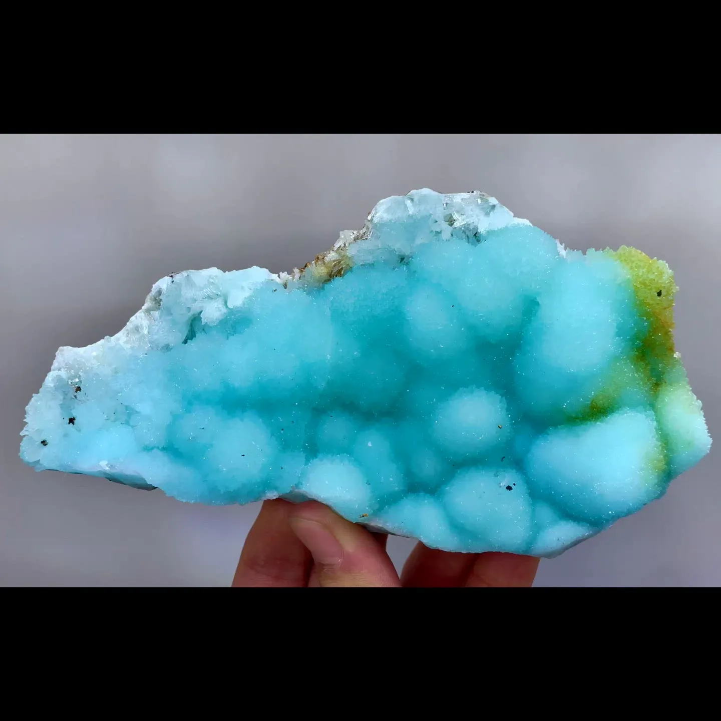 specimen video